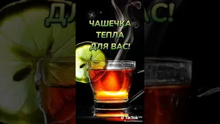 Пусть чашечка тепла согреет душу.