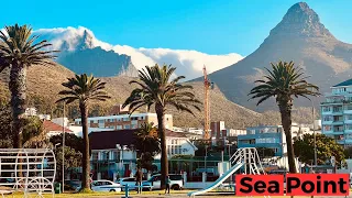 Top 3 Activities to do in Sea Point - Mouille Point | Cape Town