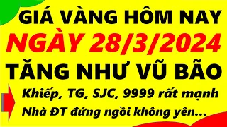 Giá vàng hôm nay ngày 28/3/2024 - giá vàng 9999, vàng sjc, vàng nhẫn 9999,...