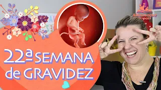 22ª SEMANA DE GESTAÇÃO | Vídeo do Feto, Nome do Bebê, Tamanho da Barriga | 2º TRIMESTRE DE GRAVIDEZ