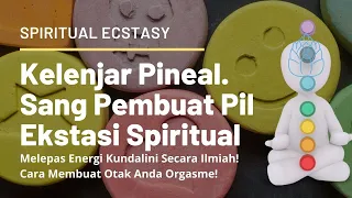 TERNYATA! KELENJAR PINEAL BISA MEMBUAT EKSTASI & ORGASME OTAK! PELEPASAN ENERGI KUNDALINI! MELATONIN