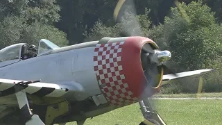 Republic P-47D Thunderbolt 'Nellie' - OTT19 Hahnweide Oldtimer Fliegertreffen