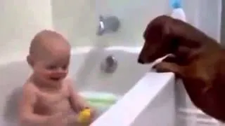 Funny baby and dog :3