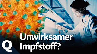 Covid-19 Impfstoff: Wieso dieser Vektor-Kandidat bisher erfolglos blieb | Quarks