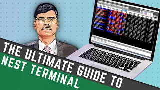 ULTIMATE GUIDE to NEST TRADING TERMINAL - Best Terminal For Full-Time Traders!