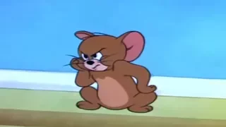 Tom and Jerry - Nit Witty Kitty - [ T & J ]