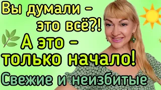 СВЕЖИЕ ПАРФЮМЫ НА ЛЕТО| АРОМАТЫ НА ЖАРУ| БУДУ ИХ НОСИТЬ СЕЙЧАС #парфюм #ароматы #духи #рекомендации