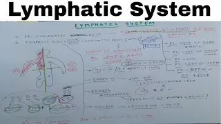 Lymphatic System | Part 1 | Thoracic Duct | The Charsi of Medical Literature