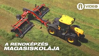 Pirosat a zöldre, avagy bánj jól a lucernával!