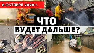 Катаклизмы за день 8 октября 2020!  Наводнения , пожары по всему миру! Изменение климата? Катастрофа
