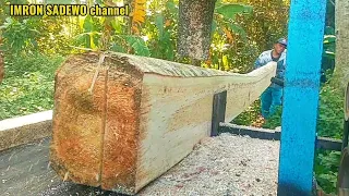 membuat balok dari penggergajian kayu sengon Albasia
