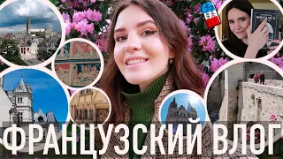 ♥️ЛУЧШИЙ ГОРОД - АНЖЕ 🏰НАСТОЯЩИЙ ЗАМОК,🐉СТРАДАЮЩЕЕ СРЕДНЕВЕКОВЬЕ, И😲ВНЕЗАПНОЕ КНИЖНОЕ СОКРОВИЩЕ📚