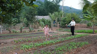 Help the poor girl to grow vegetable garden, a single mom find happiness again