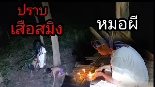 พาหมอผีไปปราบเสือสมิงอันดุร้ายออกอาราวาด