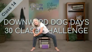 Chair Yoga - Dog Days Class 14 - 30 Minutes More Seated, Some Standing