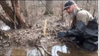 Beaver Trapping with Tom Florin