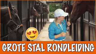 Allemaal nieuwe paarden bij Britt op stal!! | PaardenpraatTV