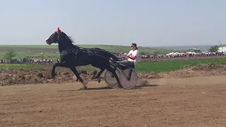 Бега Hederlez 2018 год.Чадыр-Лунга. Колесница.