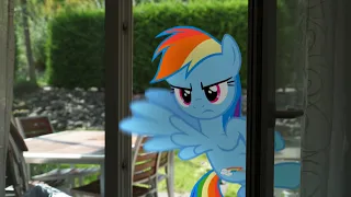 Rainbow Dash's Precious Book - Part 11 (MLP in real life)