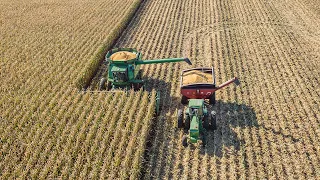 Open Season on Corn Harvest