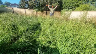 I Was TERRIFIED Mowing This OVERGROWN Jungle In The HOOD! | The WORST Lawn Ive Mowed In YEARS!