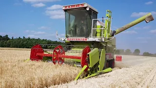 Ernte 2023 - Claas Dominator 58 Spezial