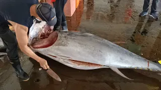 How a Top Master Cuts Bluefin Tuna in 3 Minutes