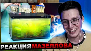 МАЗЕЛЛОВ СМОТРИТ SlivkiShow - АКВАРИУМ ИЗ БУДУЩЕГО - 120 ДНЕЙ СПУСТЯ | РЕАКЦИЯ МАЗЕЛЛОВА