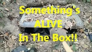 Creepy Homeless Camp With a Buried Box.