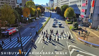 Live! - A Long Morning Walk through Central Tokyo - Shibuya, Yotsuya, Tokyo Dome, Akihabara