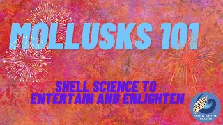 Mollusks 101