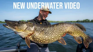 Pike attacks camera! - New Underwater Pike Attack Compilation