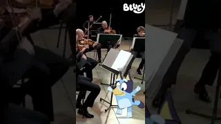 Bluey - Melbourne Symphony Orchestra - Bluey Theme tune (short clip)