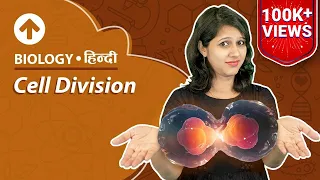 Cell Division | Hindi | Biology