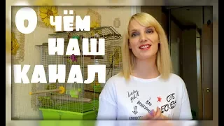 О чем наш канал