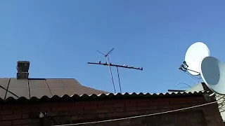 Краснодарские бойные голуби в небе кривого рога 14 04 2018. Pigeons