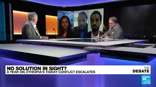 No solution in sight? A year on, Ethiopia's Tigray conflict escalates • FRANCE 24 English