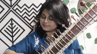 Chasing Shadows Cover|Anoushka Shankar|Ankita