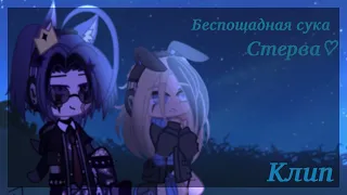 ♡︎Клип°Беспощадная сука, стерва°ᵇʸ ᵏᵃˢᵘᵐⁱ♡︎