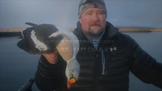 To Kill a King Eider  "Benelli "  Aleutian Island Waterfowlers