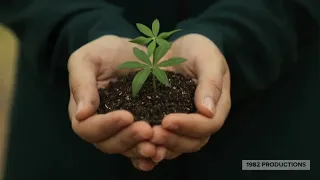 Plant A Billion Trees