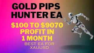 Gold Pips Hunter EA Forex MT4 EA $100 To $9070 Profit In 1 Month | Best forex robots