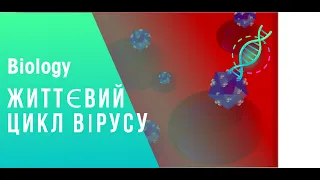 Життєвий цикл вірусу