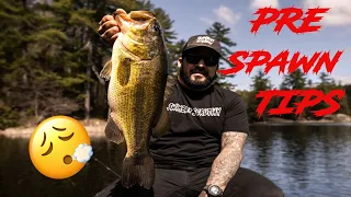 Pre-Spawn Swimbait Fishing Tips