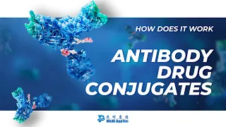 How Does It Work? | Antibody Drug Conjugates