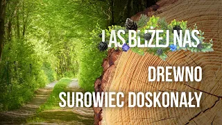 Las bliżej nas - Drewno - surowiec doskonały