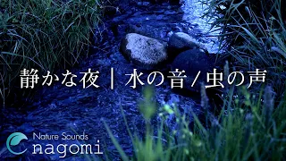 【環境音/ASMR】水の音・虫の声｜静かな夜の虫の声・優しい水の音｜睡眠・リラックス｜自然環境音・Nature Sounds