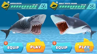 MEGALODON vs GREAT WHITE SHARK! Hungry Shark Evolution