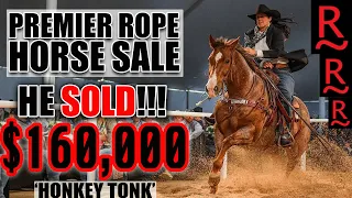 RANCHO RIO ROPE HORSE SALE 2023 | WICKENBURG AZ