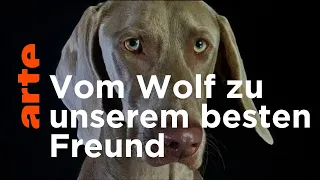 Wie der Hund die Welt eroberte - Doku